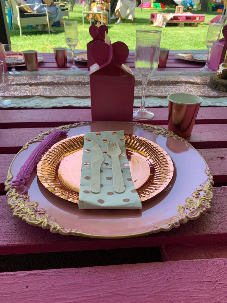 The Play Date — kiddies outdoor play and party venue photo 39
