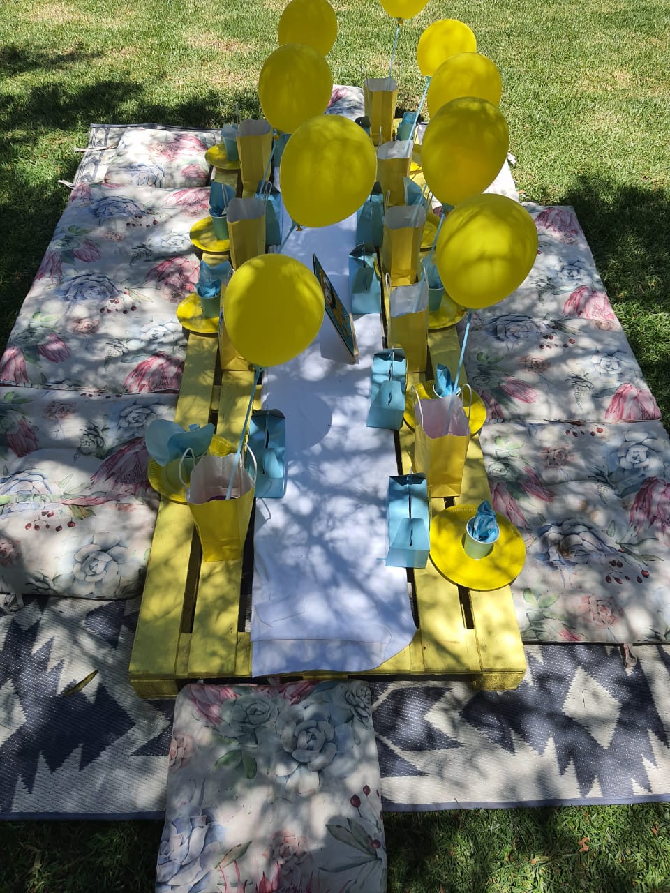 The Play Date — kiddies outdoor play and party venue photo 63